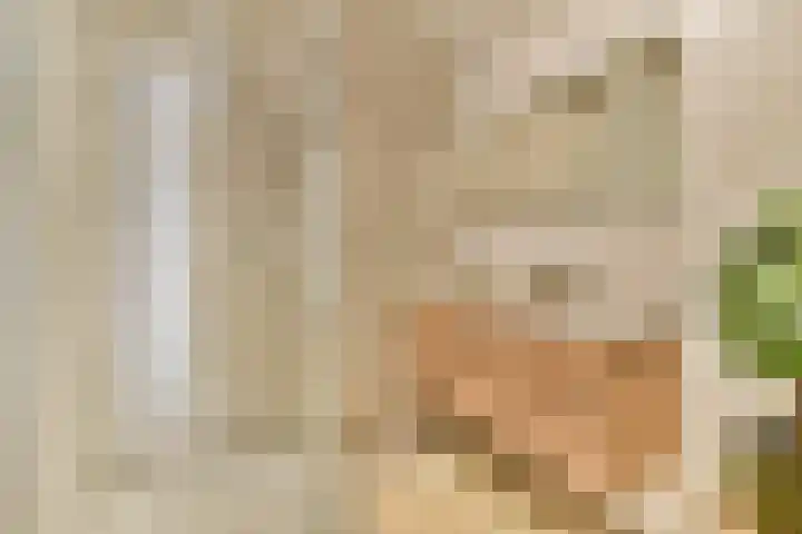 Het Hoogt 182 Amsterdam thumbnail 12