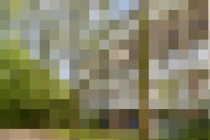 Het Hoogt 182 Amsterdam thumbnail 15