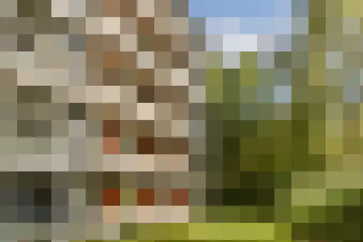 Het Hoogt 182 Amsterdam thumbnail 17