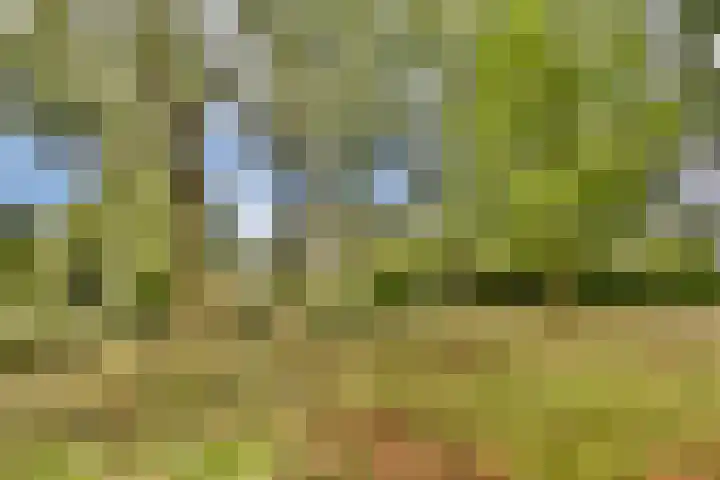 Het Hoogt 182 Amsterdam thumbnail 18