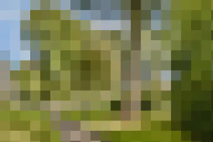 Het Hoogt 182 Amsterdam thumbnail 19