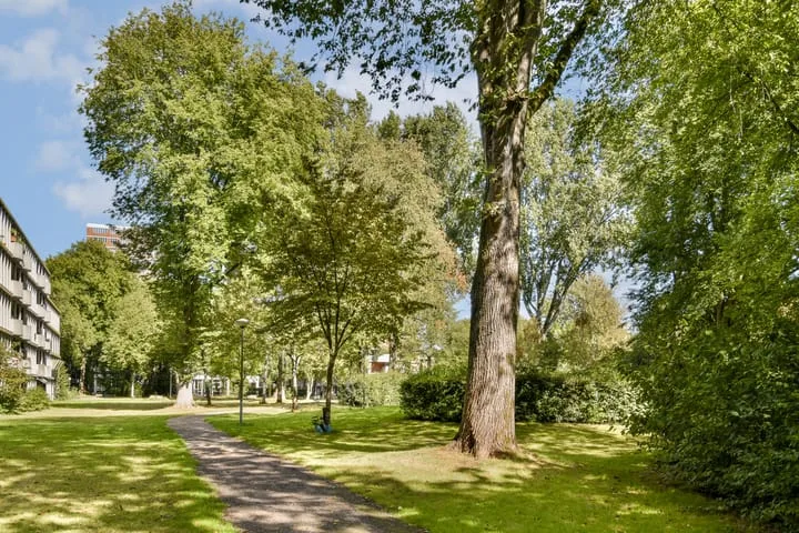 Het Hoogt 182 Amsterdam thumbnail 18