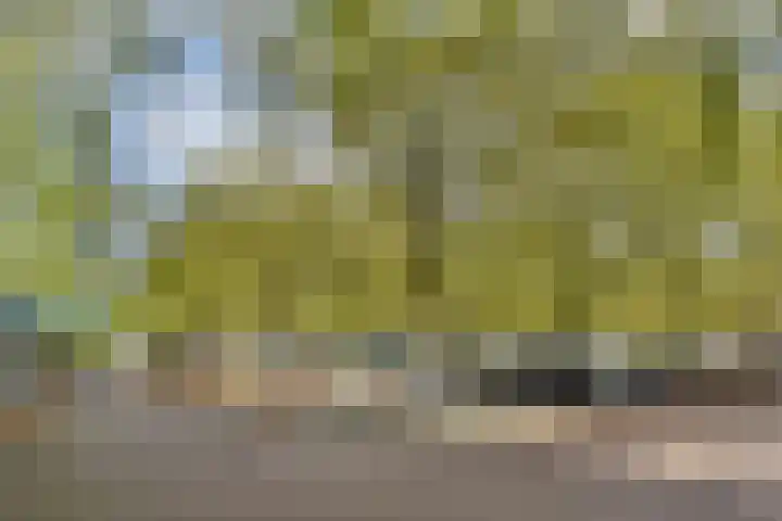 Het Hoogt 182 Amsterdam thumbnail 20