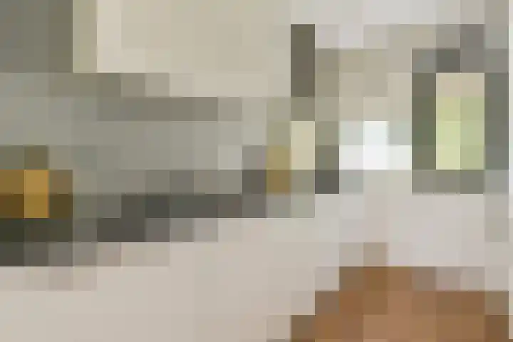 Het Hoogt 182 Amsterdam thumbnail 6