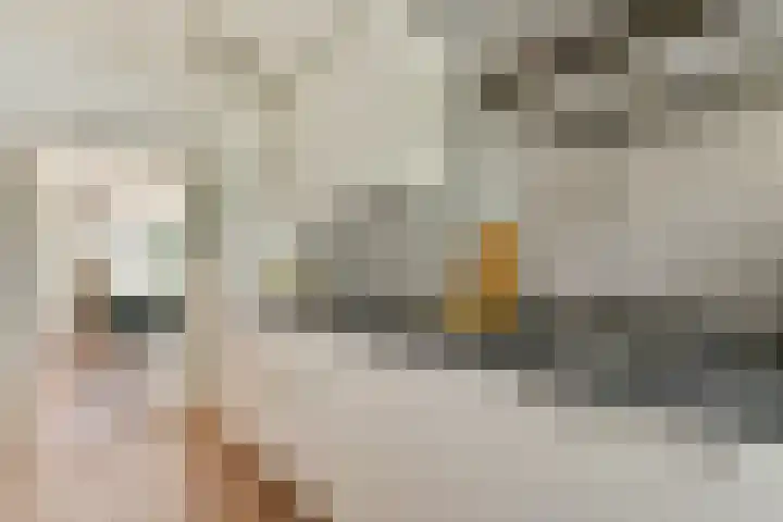 Het Hoogt 182 Amsterdam thumbnail 7