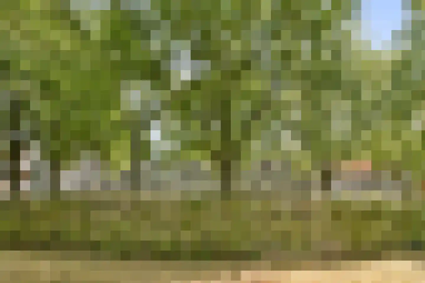 Het Hoogt 187 Amsterdam thumbnail 23