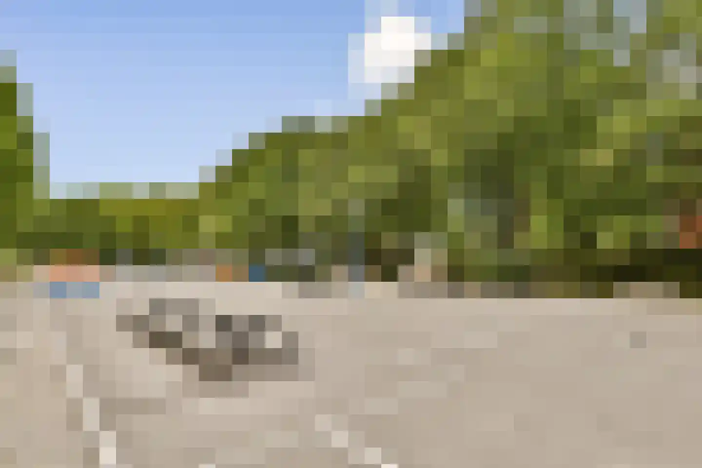 Het Hoogt 187 Amsterdam thumbnail 24