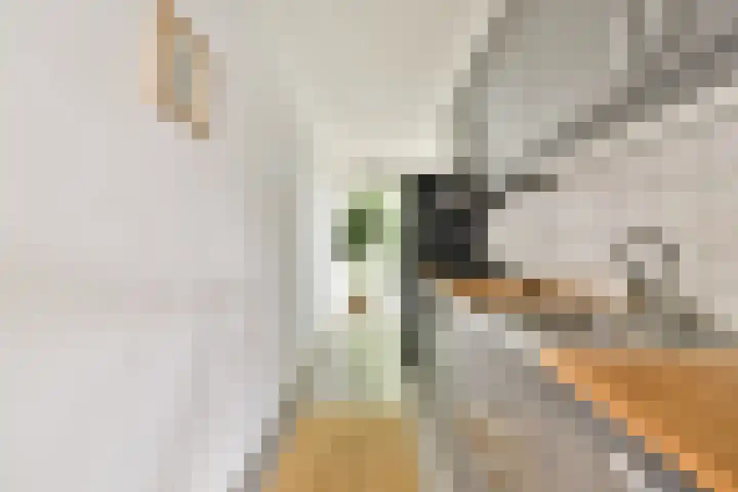 Het Hoogt 187 Amsterdam thumbnail 5