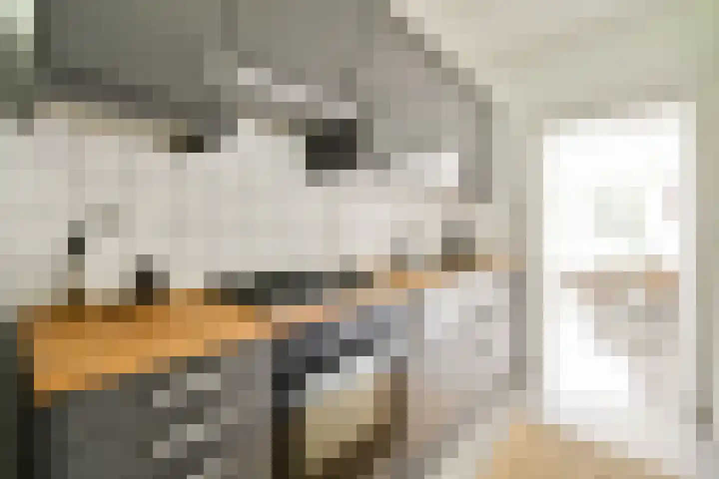 Het Hoogt 187 Amsterdam thumbnail 6