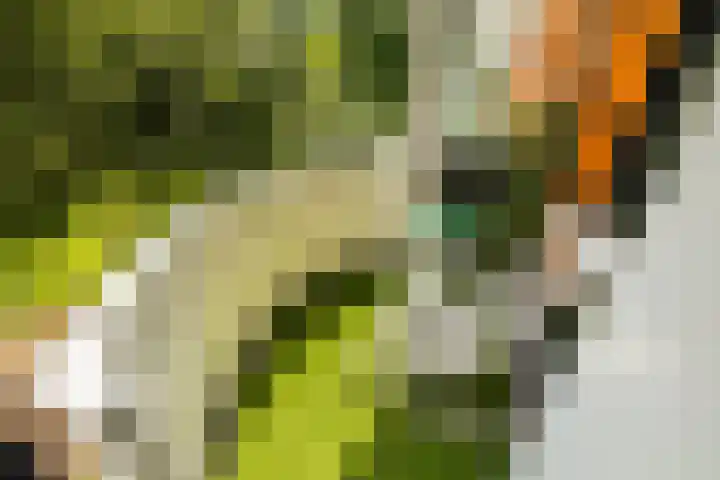 Het Hoogt 191 Amsterdam thumbnail 22