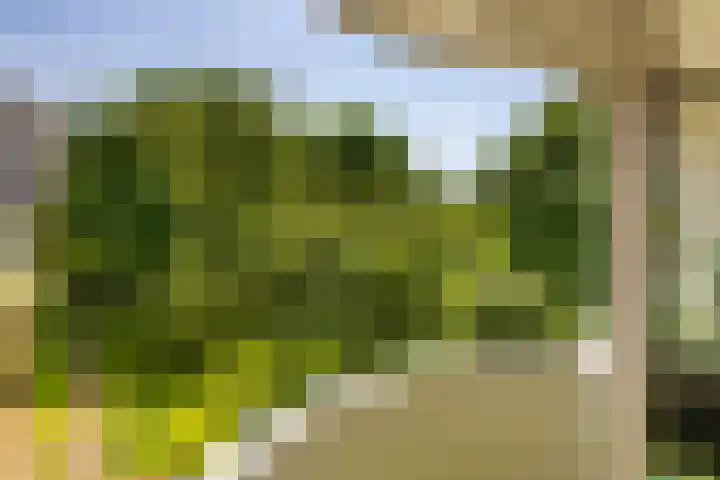 Het Hoogt 191 Amsterdam thumbnail 23