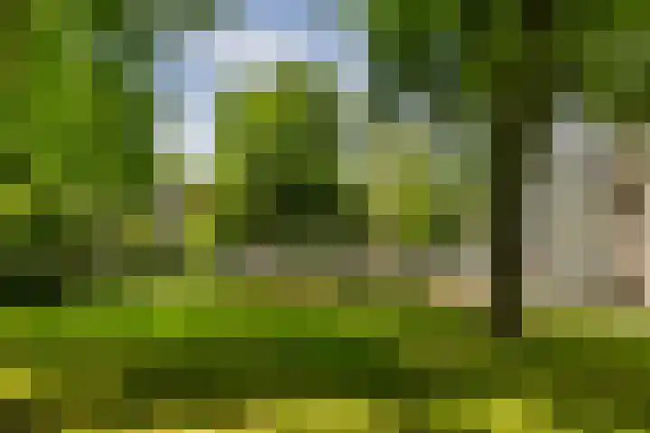 Het Hoogt 191 Amsterdam thumbnail 24