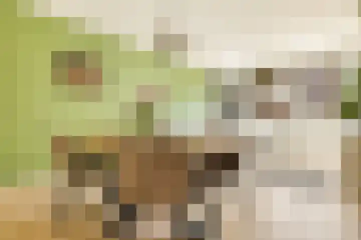 Het Hoogt 191 Amsterdam thumbnail 5