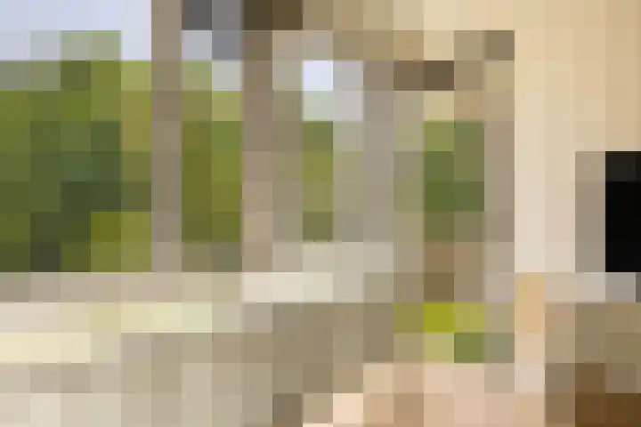 Het Hoogt 191 Amsterdam thumbnail 8