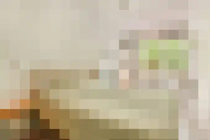 Het Hoogt 197 Amsterdam thumbnail 10