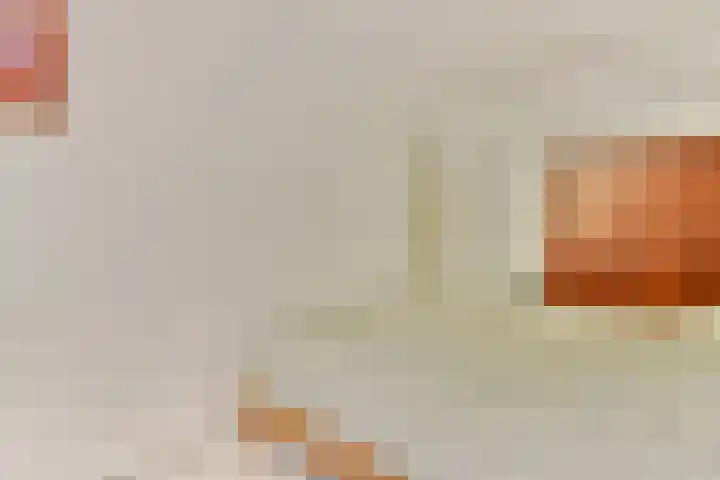 Het Hoogt 197 Amsterdam thumbnail 11