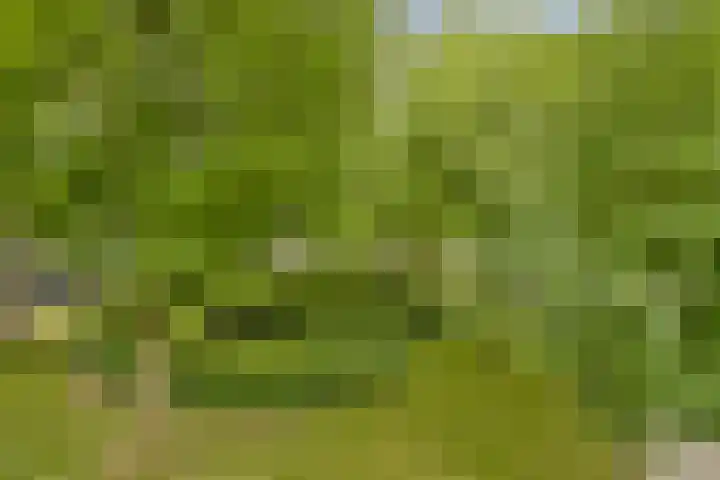 Het Hoogt 197 Amsterdam thumbnail 17