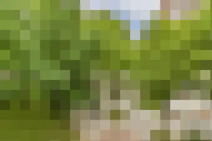 Het Hoogt 197 Amsterdam thumbnail 18