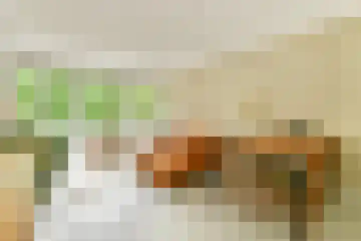 Het Hoogt 197 Amsterdam thumbnail 23