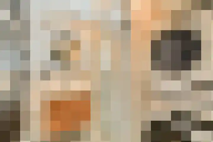 Het Hoogt 197 Amsterdam thumbnail 4