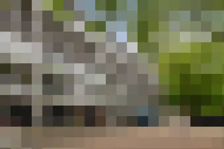 Het Hoogt 197 Amsterdam thumbnail 5