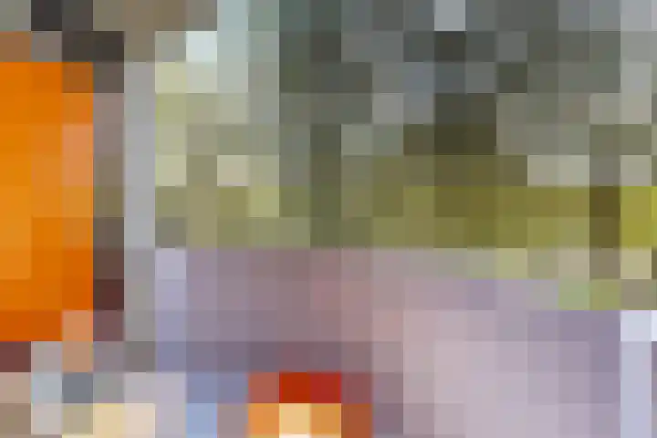 Het Hoogt 205 Amsterdam thumbnail 10