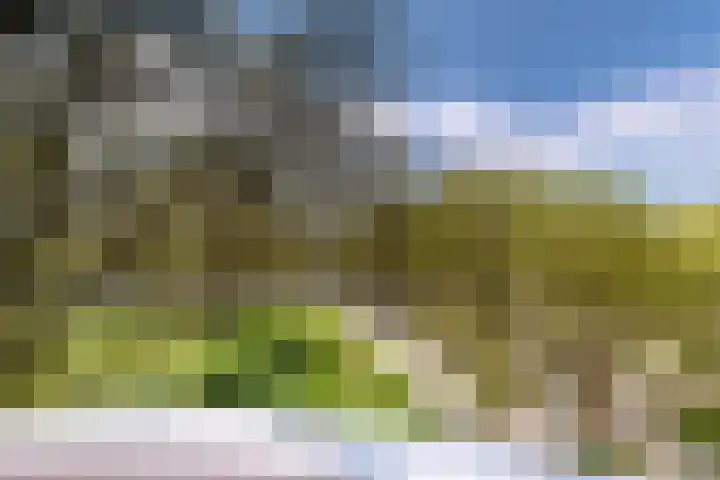 Het Hoogt 205 Amsterdam thumbnail 11