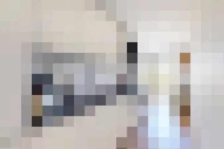 Het Hoogt 205 Amsterdam thumbnail 12