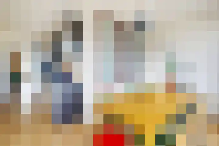 Het Hoogt 205 Amsterdam thumbnail 14
