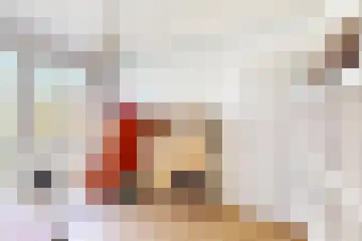 Het Hoogt 205 Amsterdam thumbnail 18