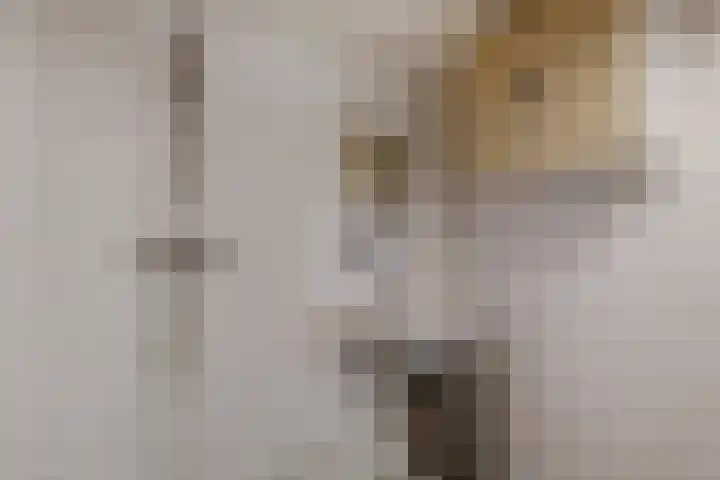 Het Hoogt 205 Amsterdam thumbnail 20