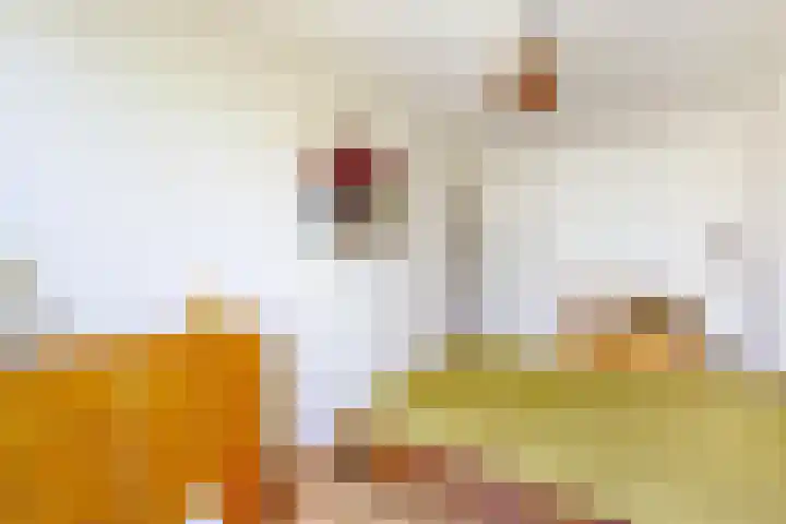 Het Hoogt 205 Amsterdam thumbnail 23