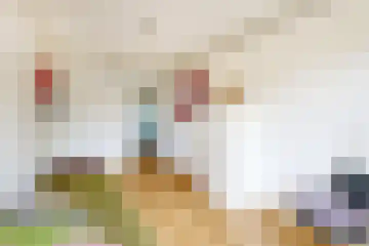 Het Hoogt 205 Amsterdam thumbnail 26