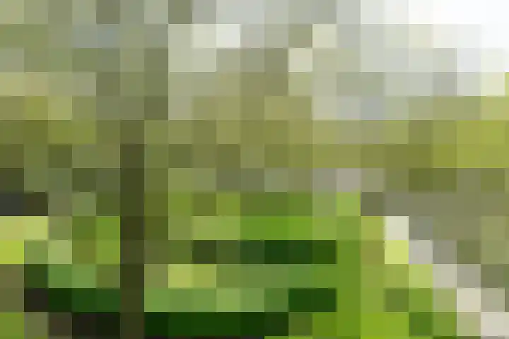 Het Hoogt 205 Amsterdam thumbnail 27