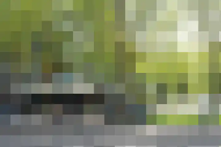 Het Hoogt 205 Amsterdam thumbnail 31