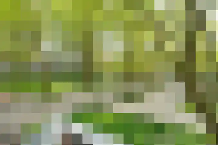 Het Hoogt 205 Amsterdam thumbnail 32
