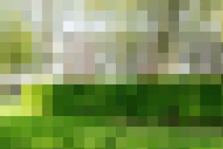 Het Hoogt 205 Amsterdam thumbnail 4