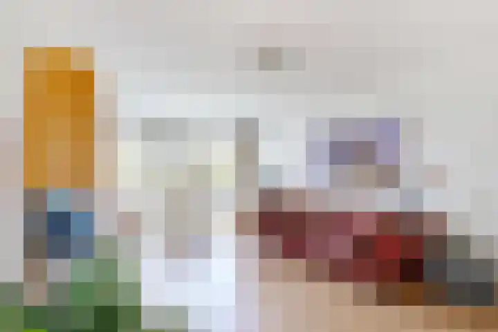 Het Hoogt 205 Amsterdam thumbnail 5