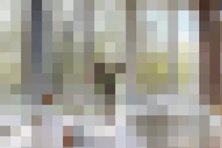 Het Hoogt 205 Amsterdam thumbnail 9