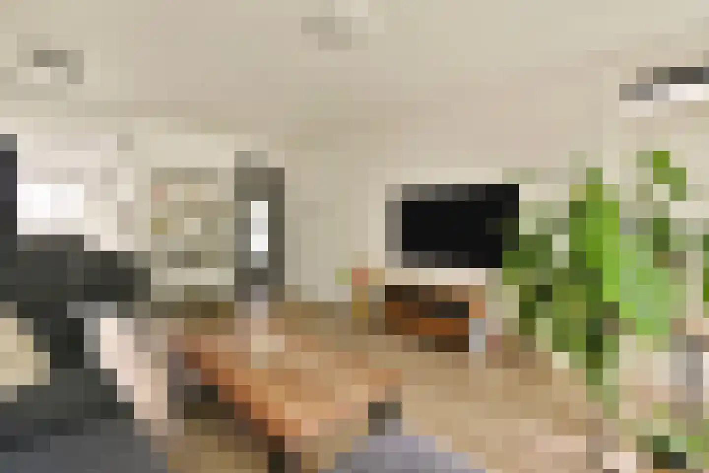 Het Hoogt 221 Amsterdam thumbnail 10