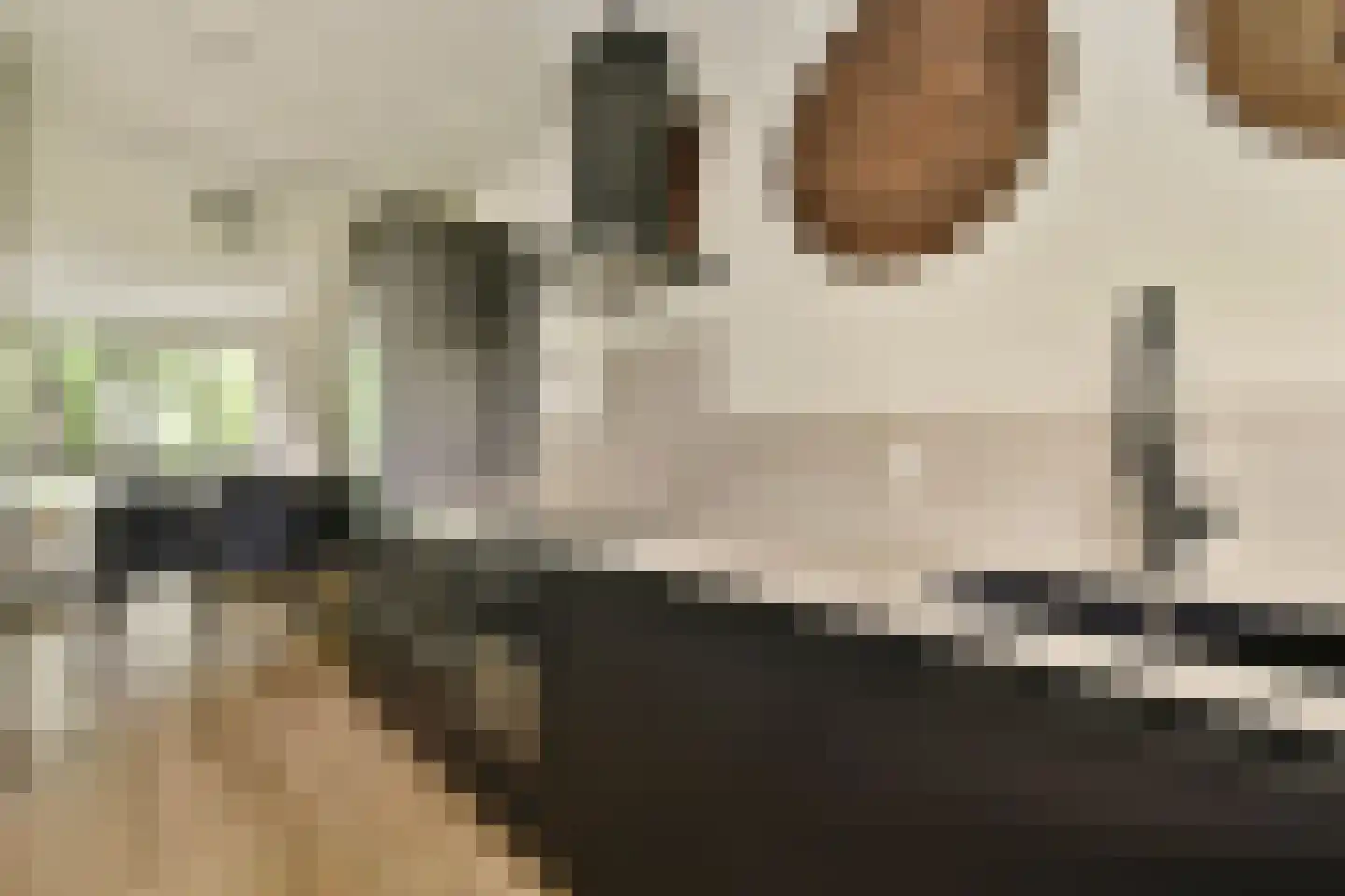 Het Hoogt 221 Amsterdam thumbnail 11