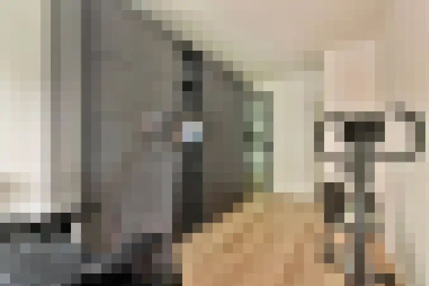 Het Hoogt 221 Amsterdam thumbnail 13
