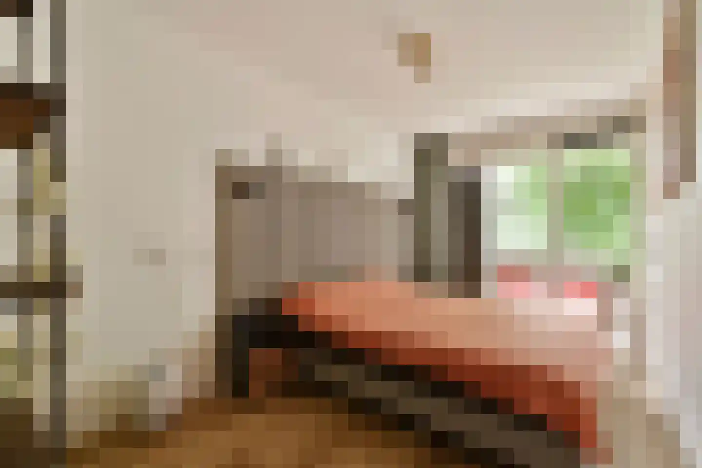 Het Hoogt 221 Amsterdam thumbnail 14
