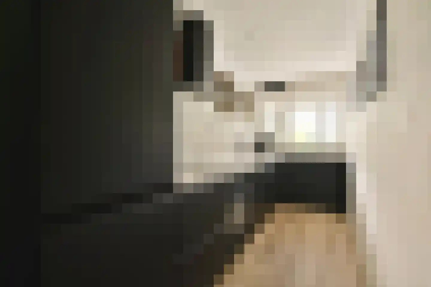 Het Hoogt 221 Amsterdam thumbnail 4