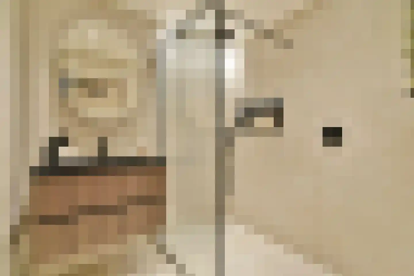 Het Hoogt 221 Amsterdam thumbnail 5