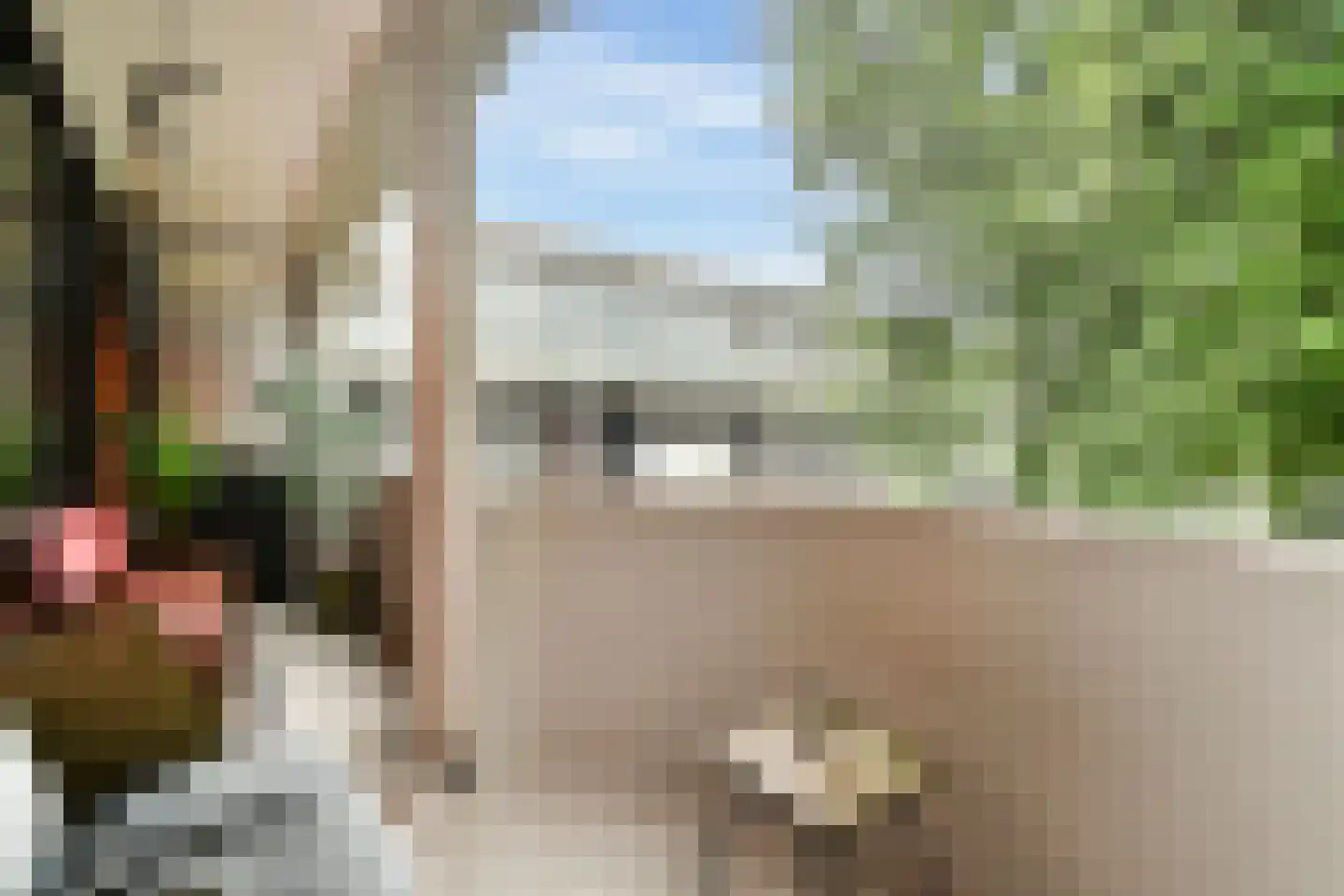 Het Hoogt 221 Amsterdam thumbnail 6