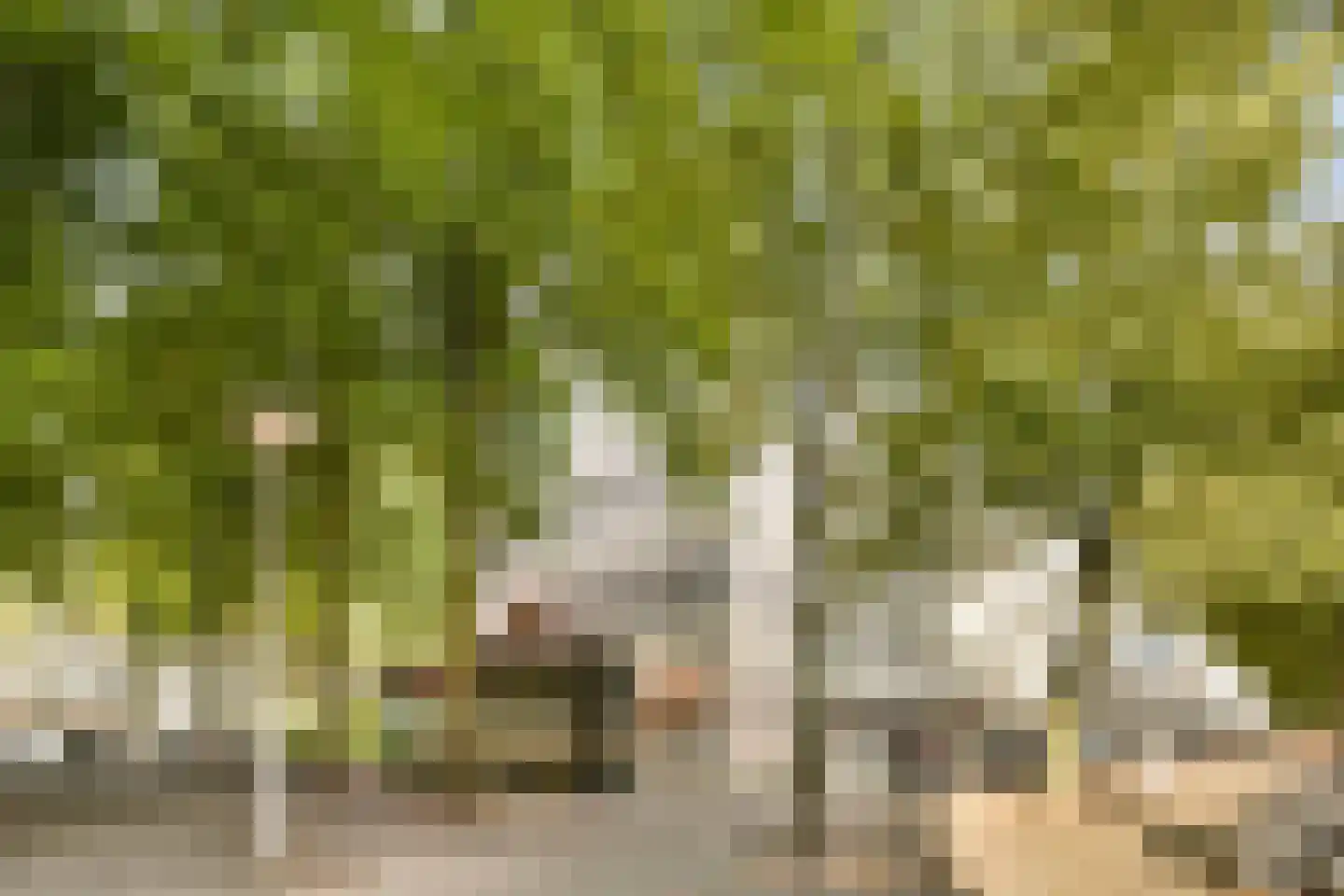 Het Hoogt 221 Amsterdam thumbnail 7