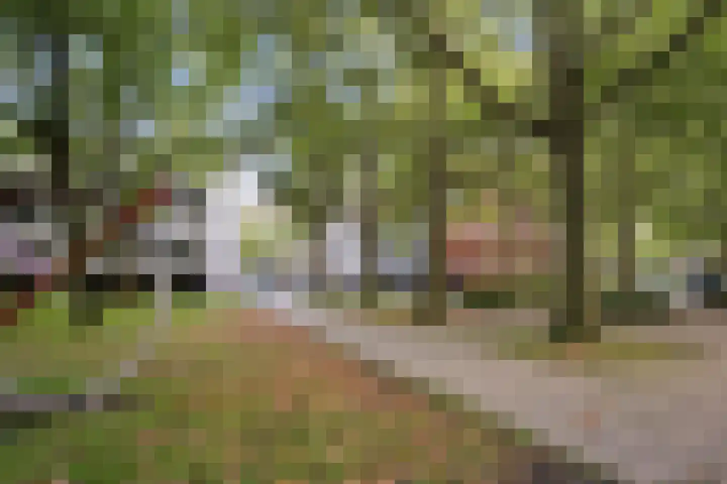 Het Hoogt 267 Amsterdam thumbnail 30