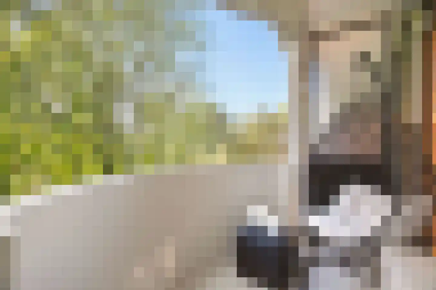 Het Hoogt 267 Amsterdam thumbnail 7