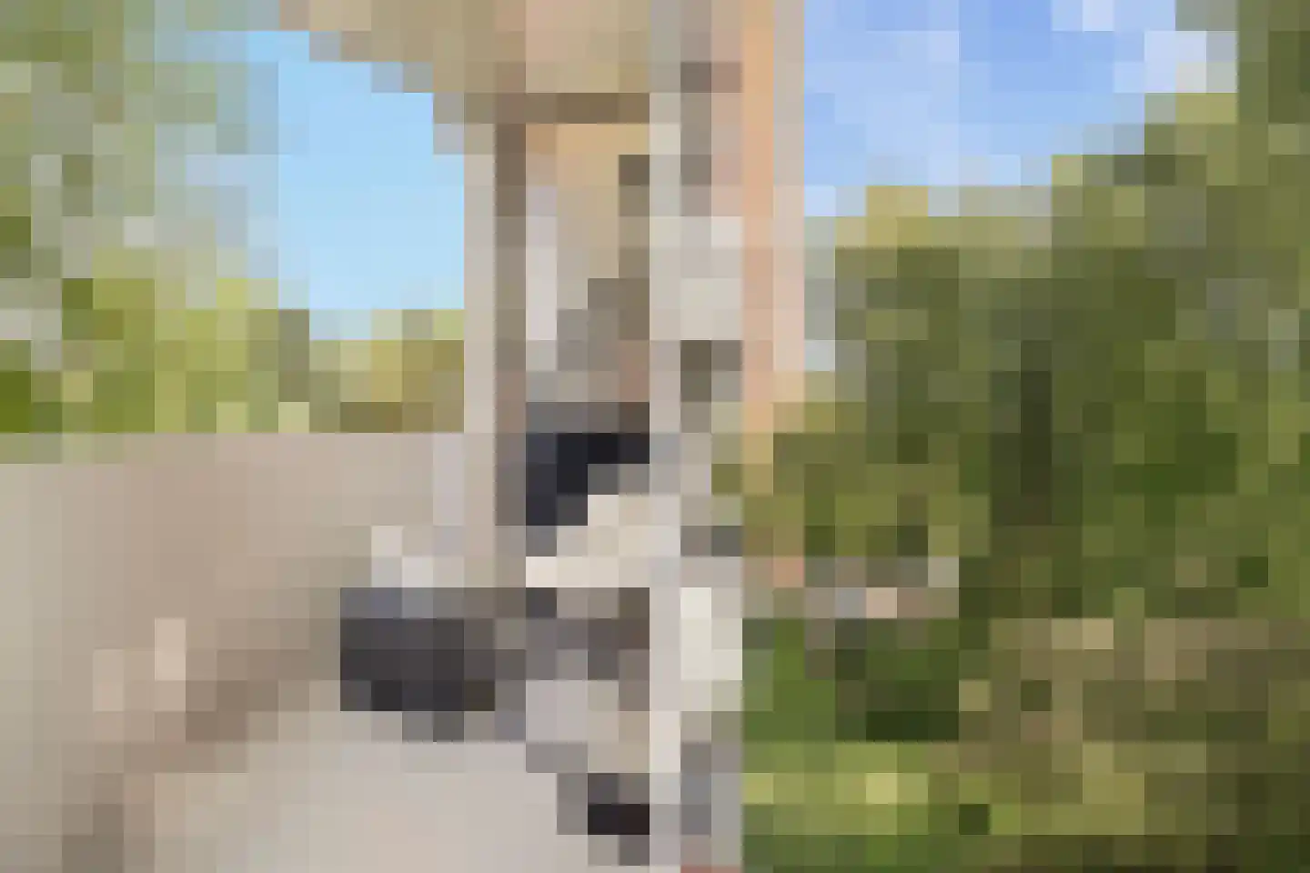 Het Hoogt 267 Amsterdam thumbnail 8